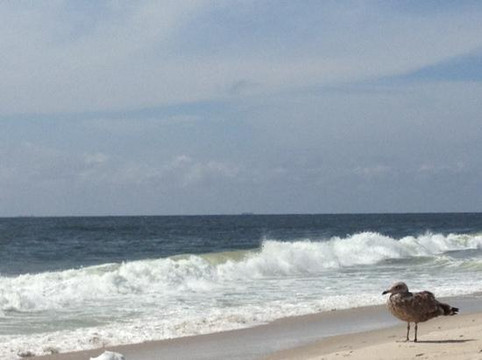 Jones Beach State Park-Wantagh必去景点