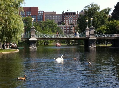 Swan Boats-波士顿必去景点