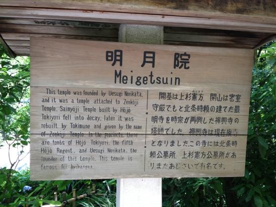 明月寺（紫阳花寺）-镰仓市必去景点