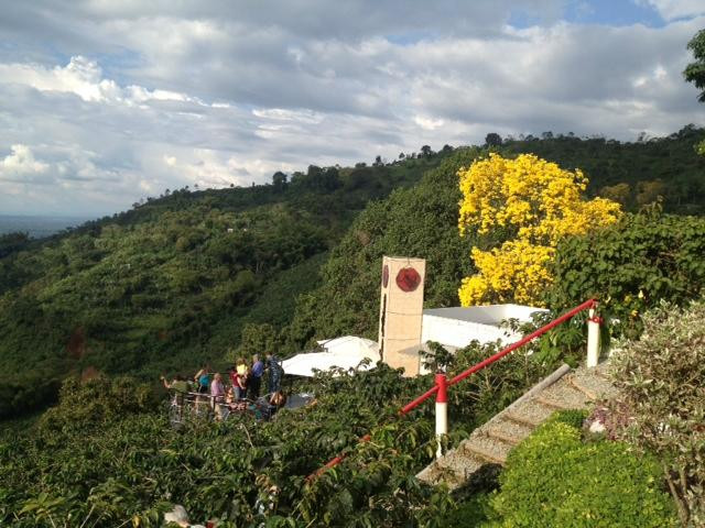 Cafe San Alberto-布埃纳维斯塔必去景点