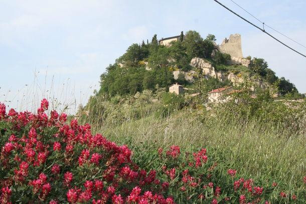 Castello di Canossa景点图片