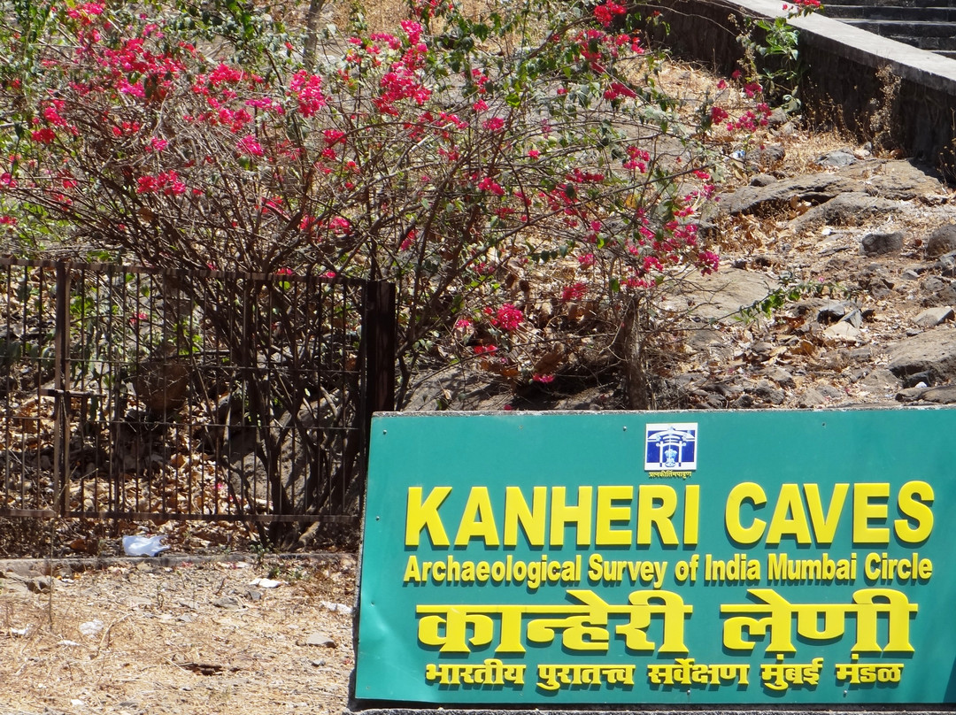 Kanheri Caves-孟买必去景点
