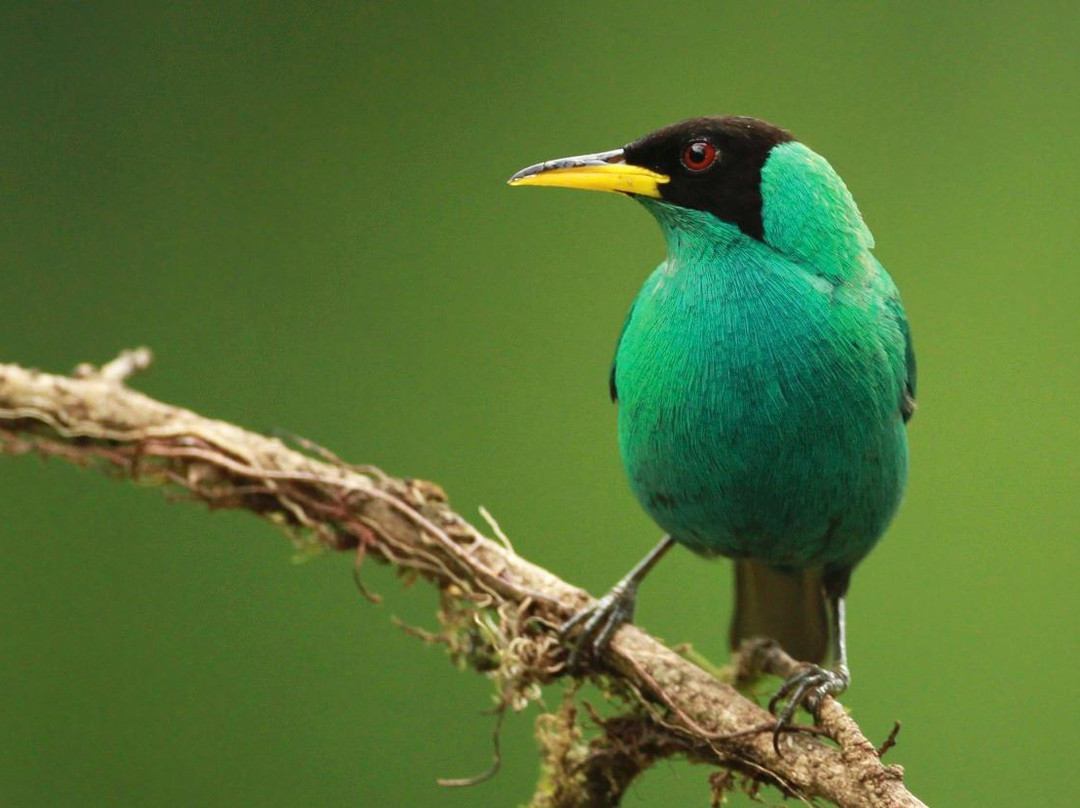 Dave & Dave's Costa Rica Nature Park景点图片