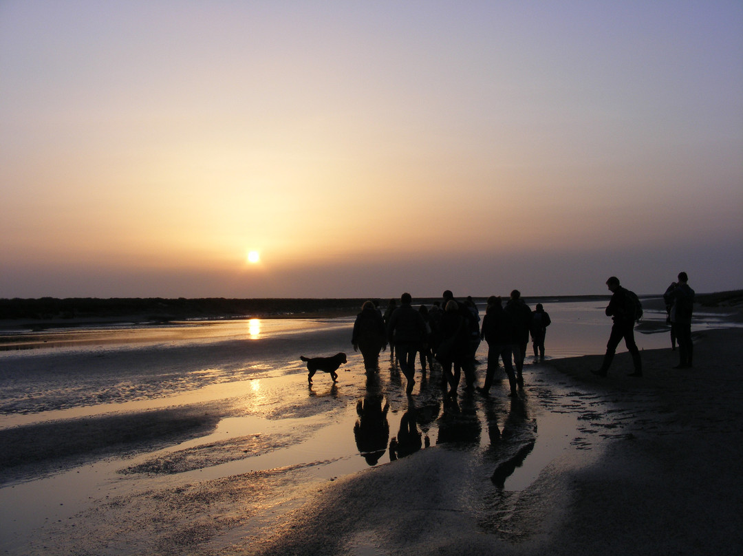 Decouvrons la Baie de Somme Day Tours景点图片