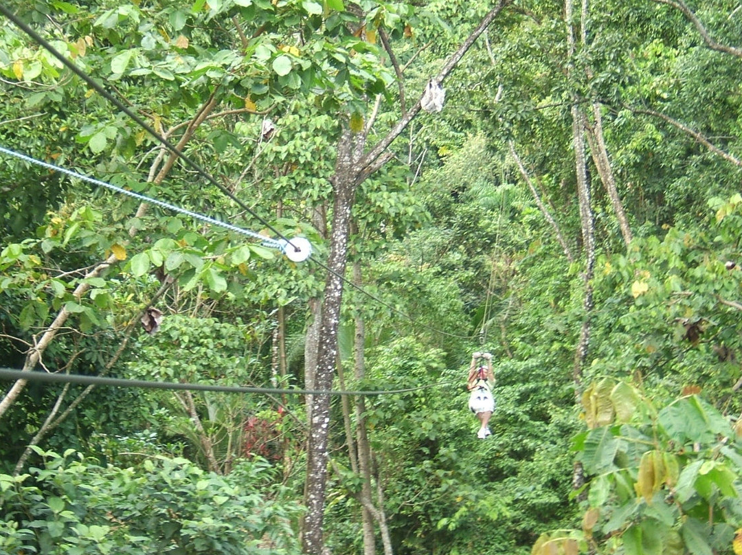 The Jungle Breeze景点图片