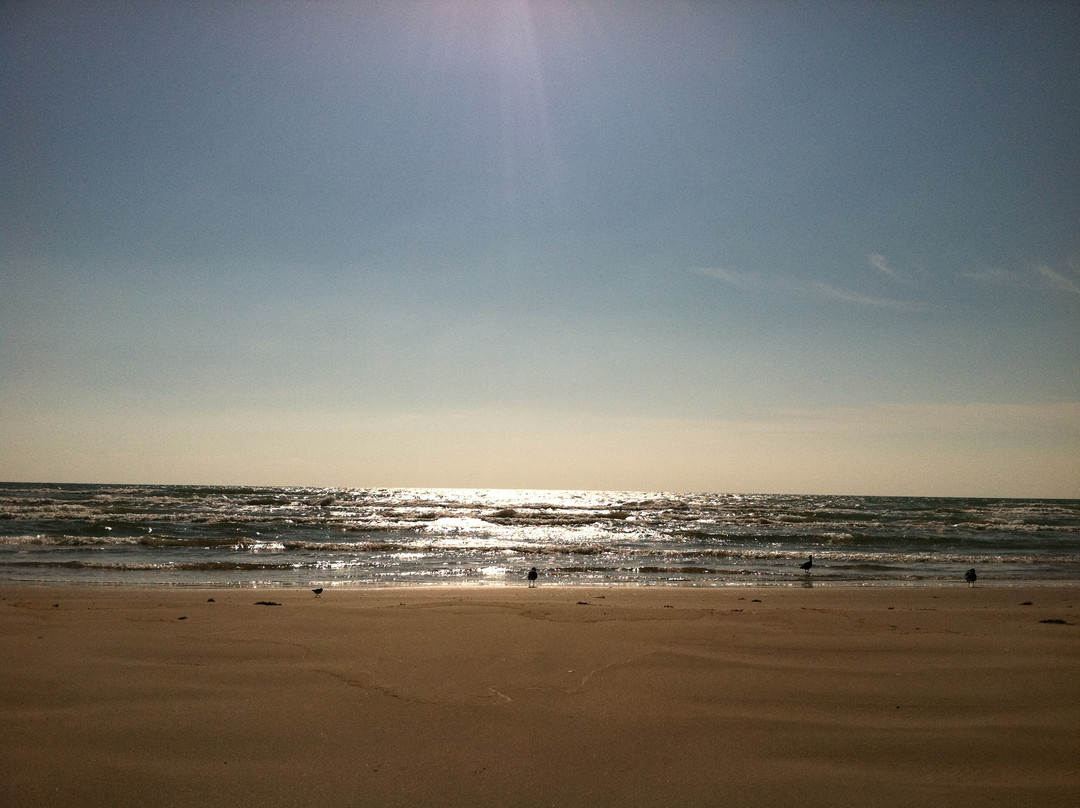 Malaquite Beach-科珀斯克里斯蒂市必去景点