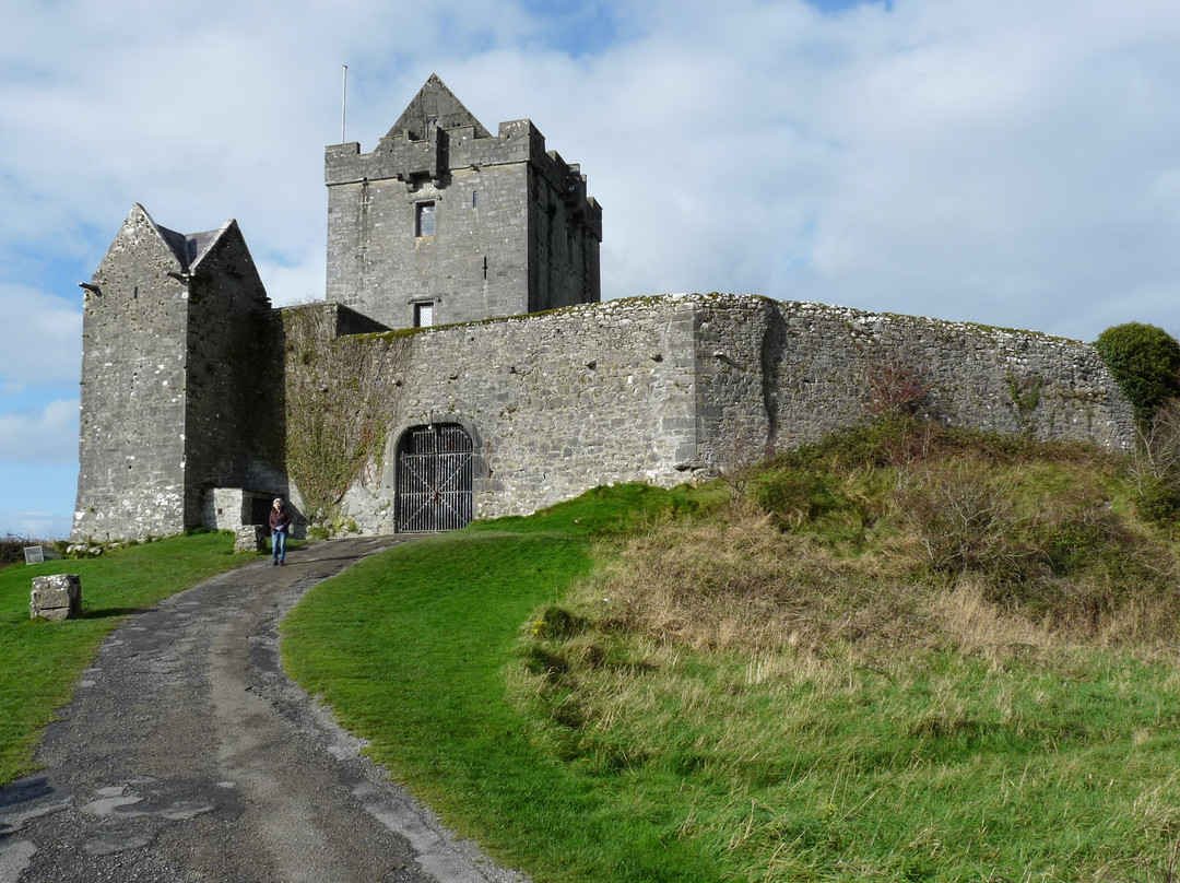 Dunguaire Castle's景点图片