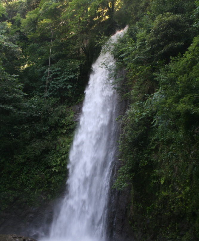 Yoro Park-养老町必去景点