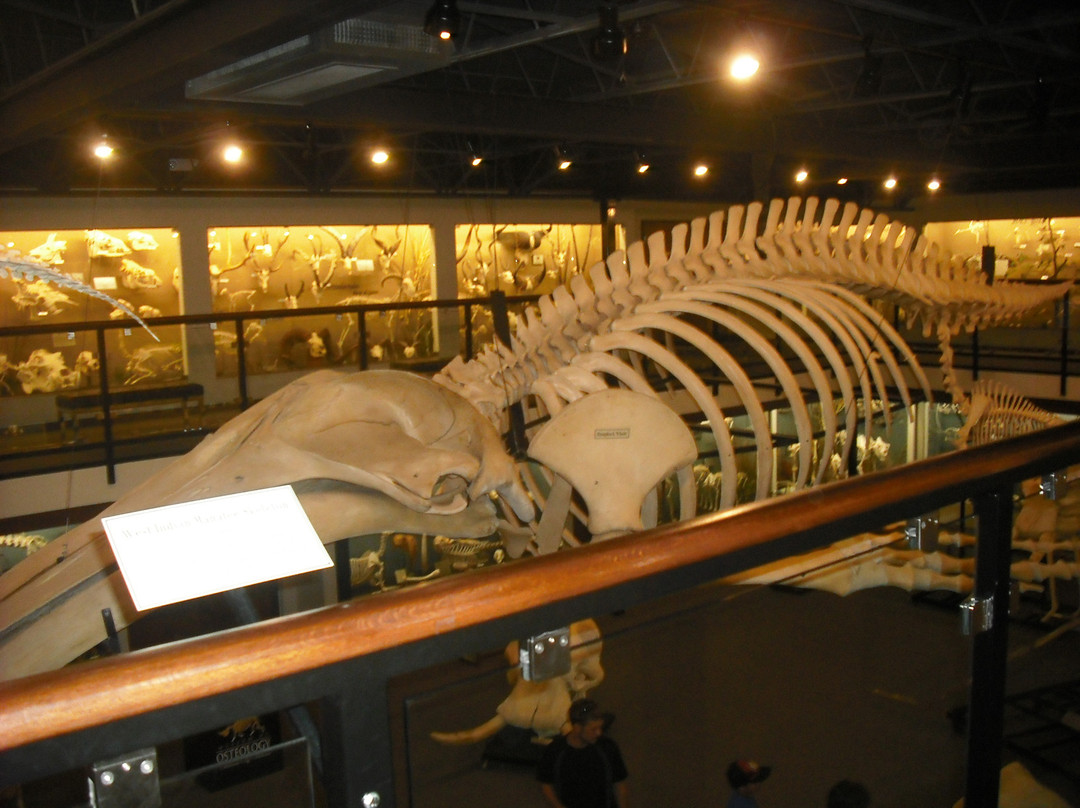 骨学博物馆-俄克拉何马城必去景点