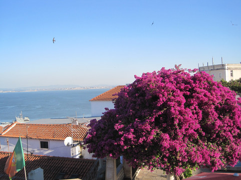 Miradouro de Santa Luzia-里斯本必去景点