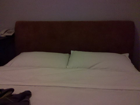 和艺酒店上海南站店主图