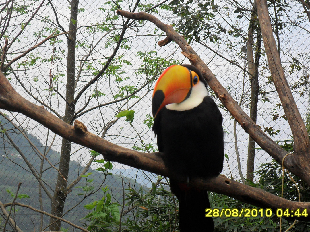 Gramadozoo-格拉玛多必去景点