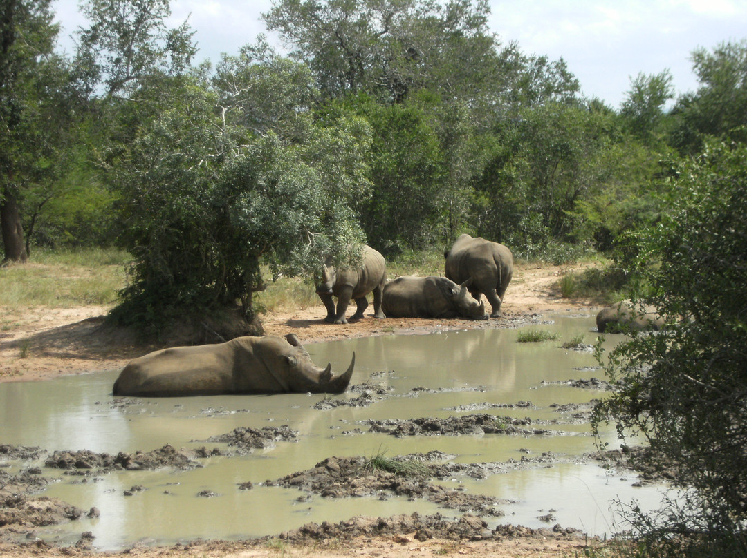 Heritage Tours & Safaris-圣露西亚必去景点