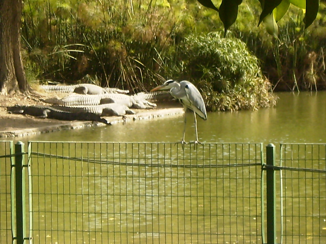 Hamat Gader Park-null必去景点