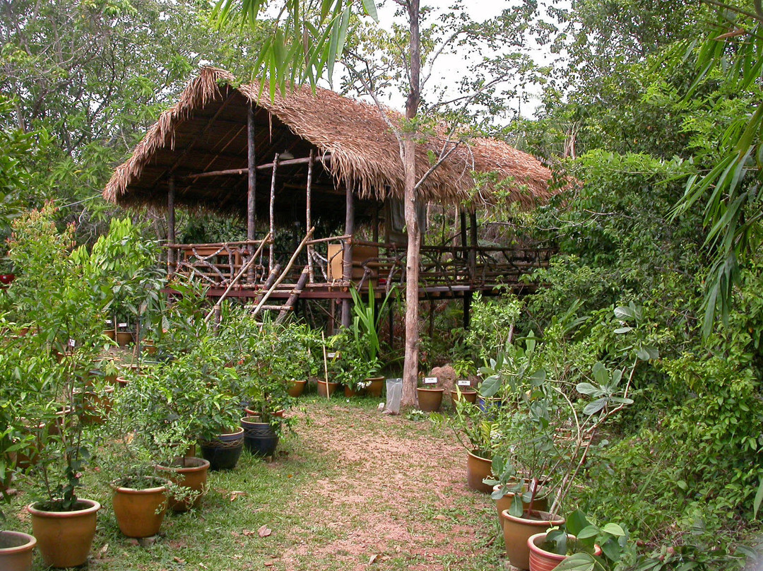 Herbwalk in Langkawi-兰卡威必去景点