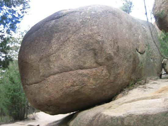 观菲欣纳海洋农场-科尔斯湾必去景点