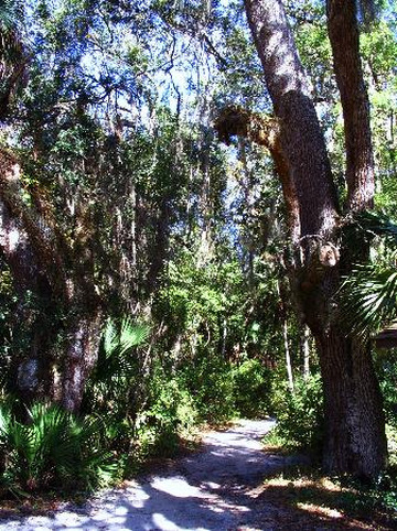 Hillsborough River State Park-Thonotosassa必去景点