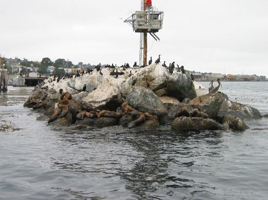 California Coastal Trail-红木国家公园必去景点