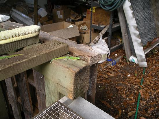 庇佑之所家庭式酒店主图