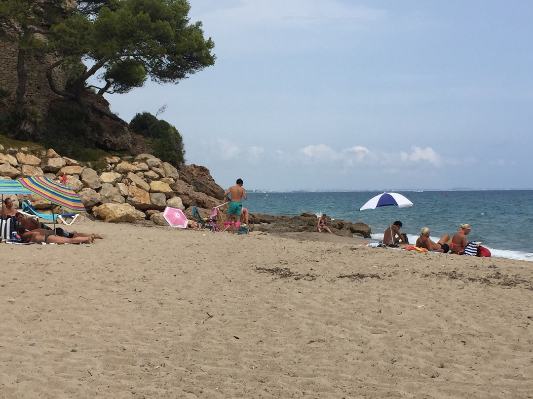 Cala de los Vieneses景点图片