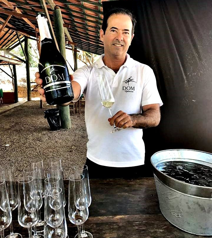 Vinhedo Girassol-Cocalzinho de Goias必去景点