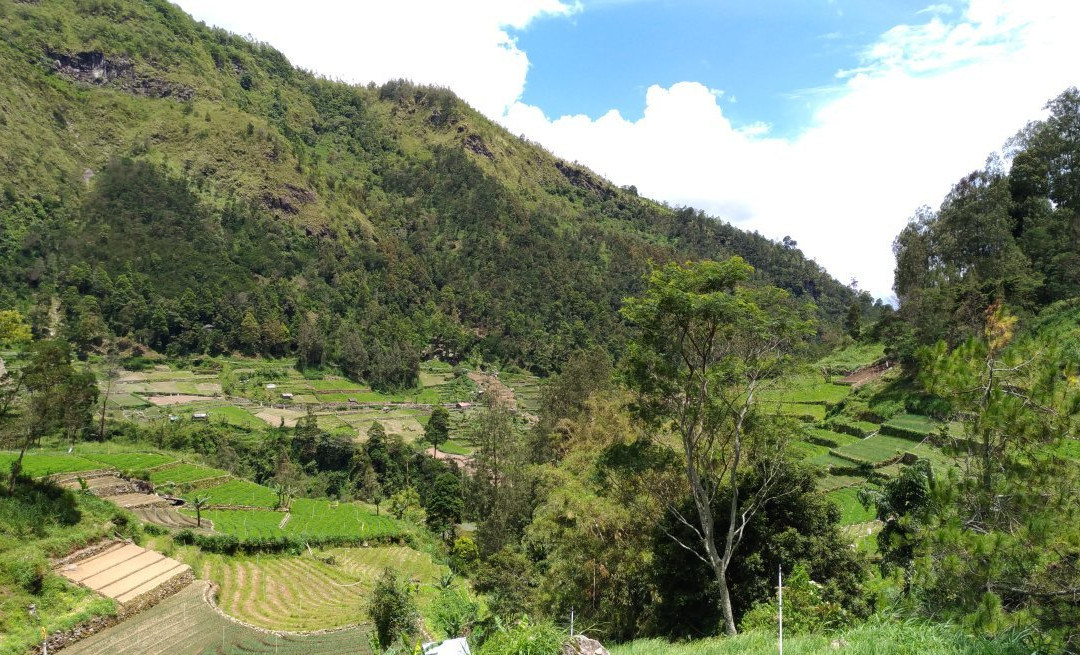 Ngadiloyo Waterfall景点图片