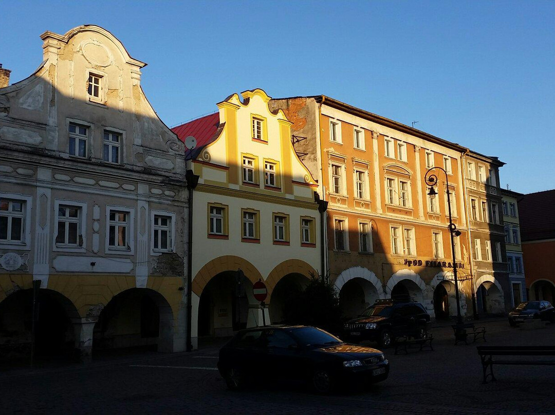 Town Hall Ladek Zdroj景点图片