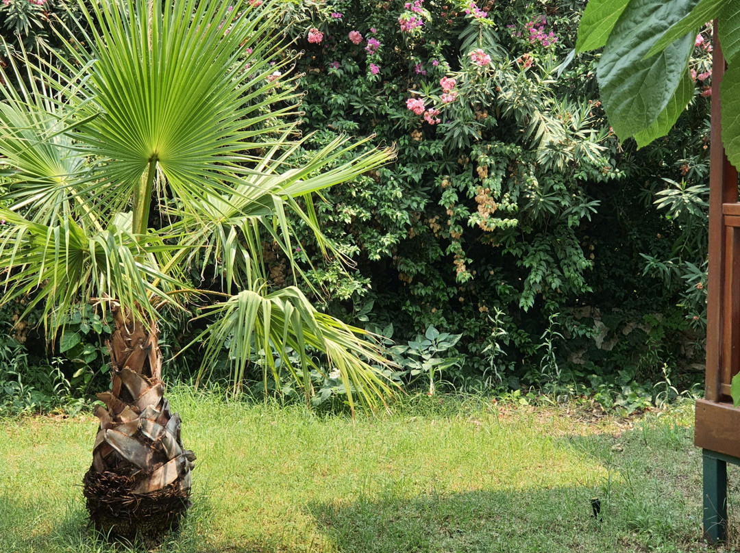 Çirali Natural Li̇fe Bungalows Hotel