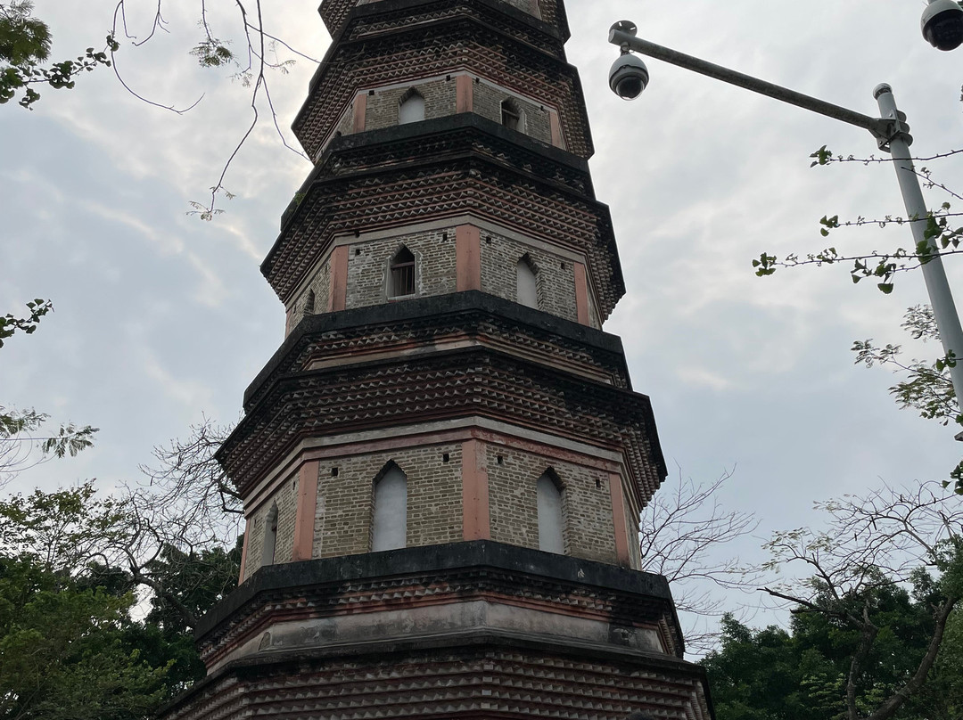 惠州泗洲塔景点图片