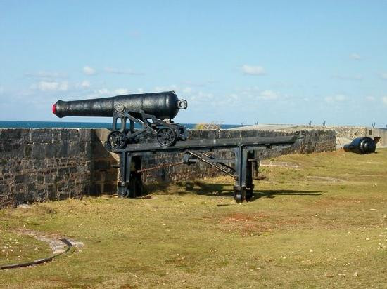 Dolphin Quest-Sandys Parish必去景点