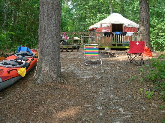 Trap Pond State Park-特拉华州必去景点