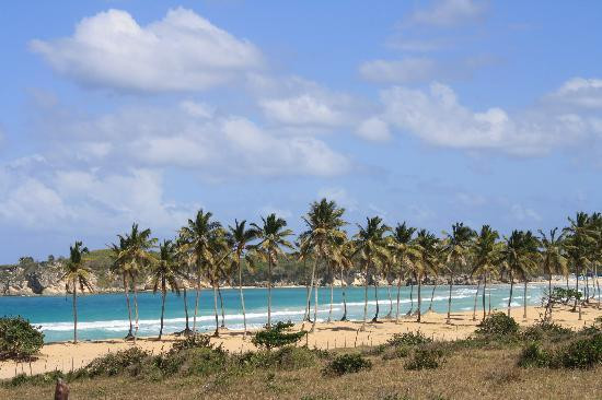 Punta Cana Excursions-蓬塔卡纳必去景点