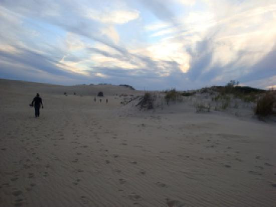 Jockey's Ridge State Park景点图片