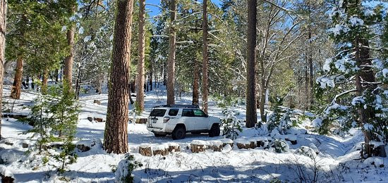 Mount San Jacinto State Park and Wilderness-Idyllwild必去景点