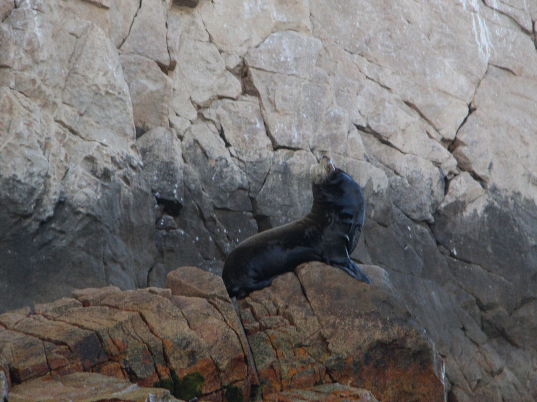 RogerSEABREEZE-卡波圣卢卡斯必去景点