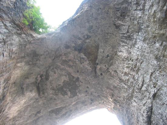 Natural Bridge State Park-天然桥必去景点