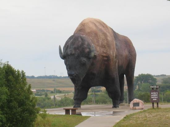 北达科塔旅游景点-North American Bison Discovery Center