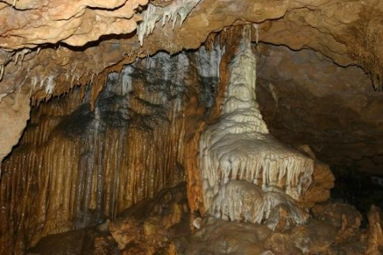 Florida Caverns State Park-Marianna必去景点