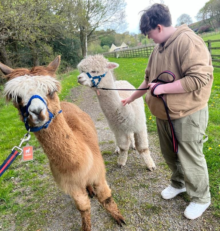 Oakmere Alpacas-Oakmere必去景点