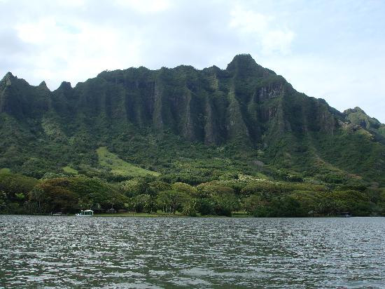 热带农场,澳洲坚果农场之旅-卡内奥赫必去景点