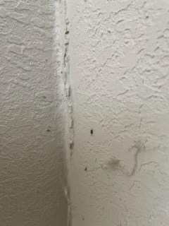 Sleep Inn Beaufort主图