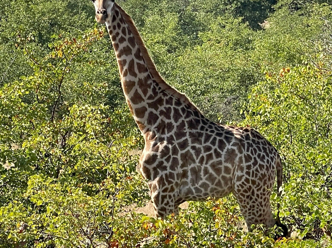 Nandzana Safaris-伐拉博瓦必去景点
