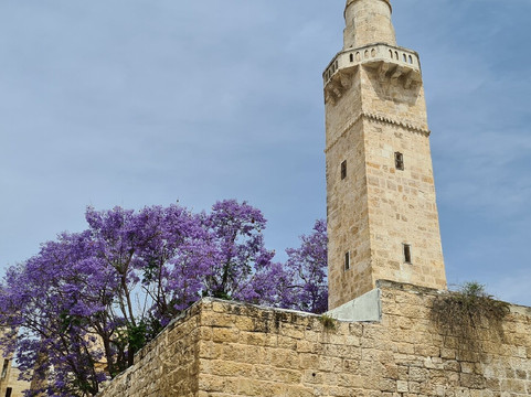 Yael Israel Tours - Guida Turistica in Israele-特拉维夫必去景点