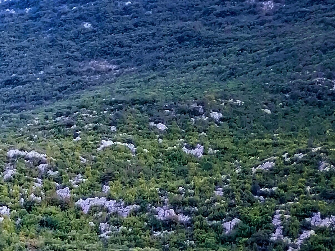 Nature Park Biokovo-玛卡沙必去景点