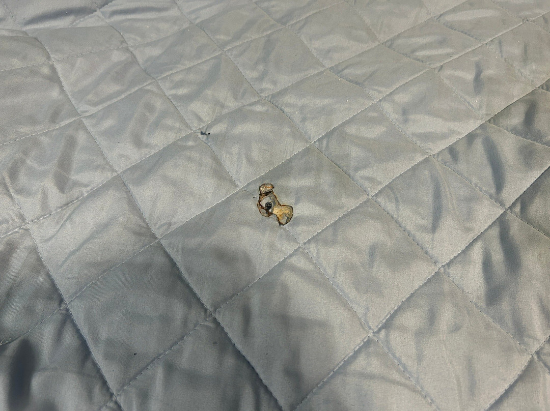 The Sand Dollar Motel主图