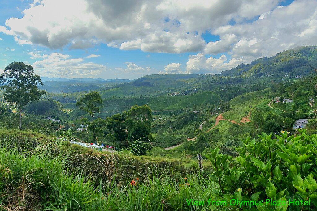 奥林巴斯广场酒店主图