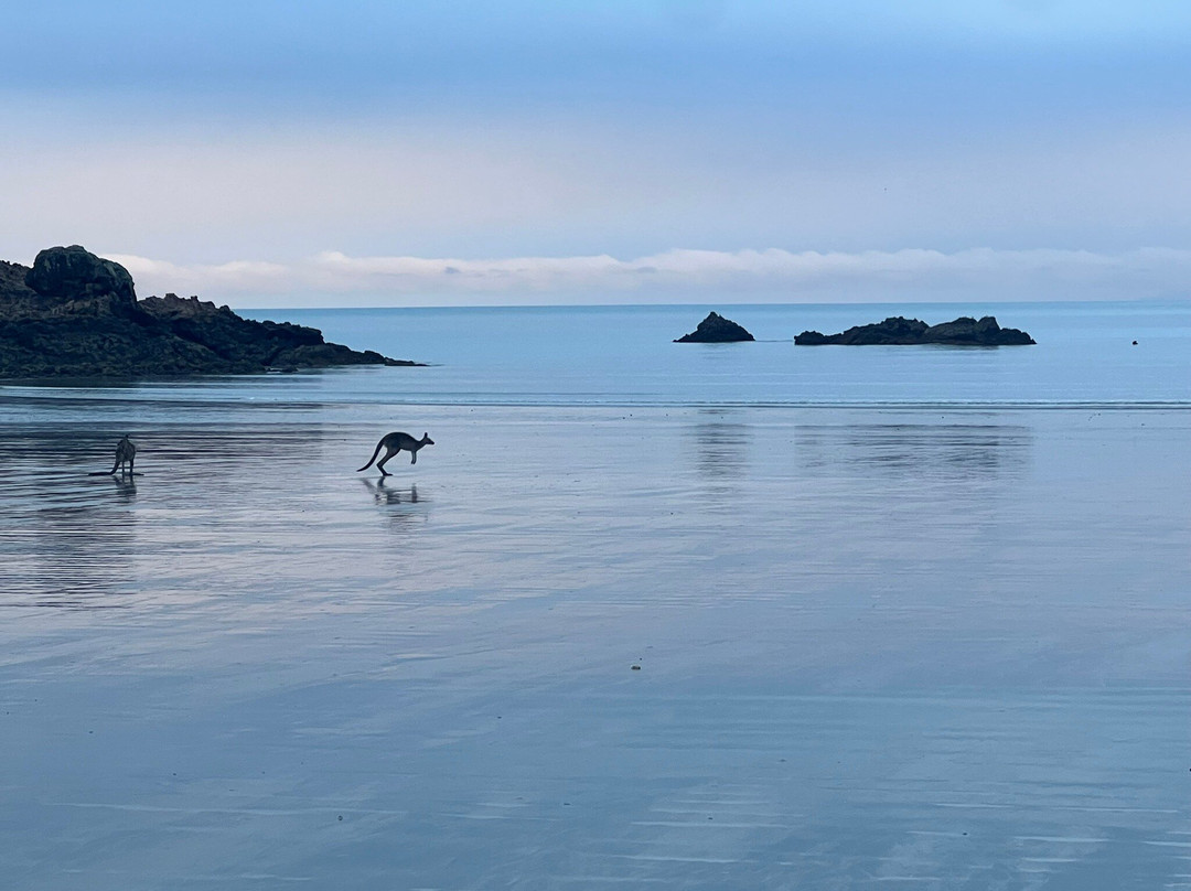 Cape Hillsborough National Park-Cape Hillsborough必去景点