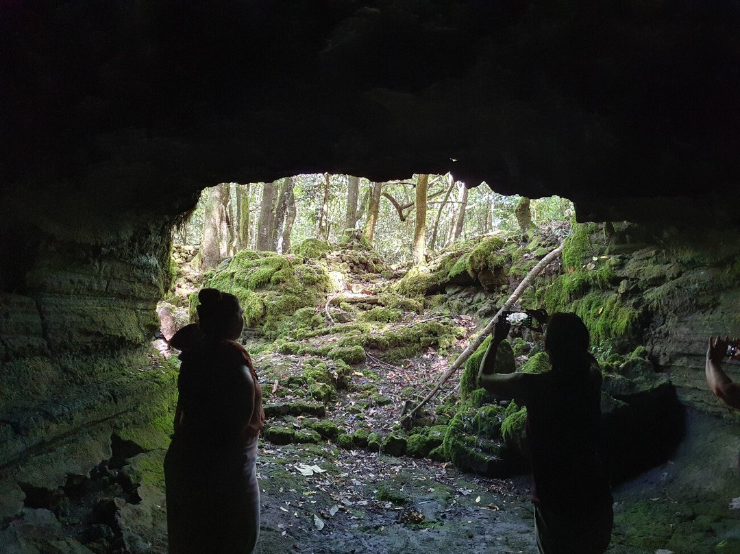 Aopo Lava Tubes-萨瓦伊岛必去景点