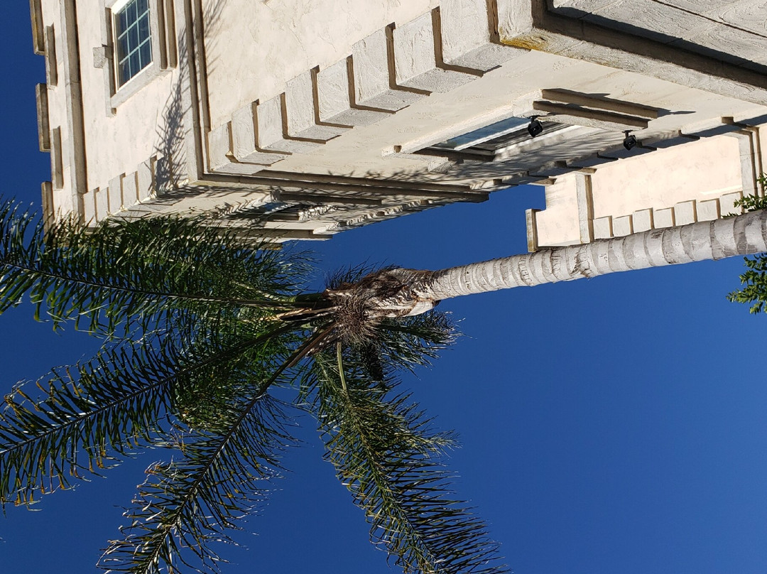 Belle Marie Winery-埃斯孔迪多必去景点