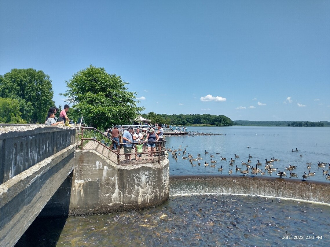 Linesville Spillway景点图片